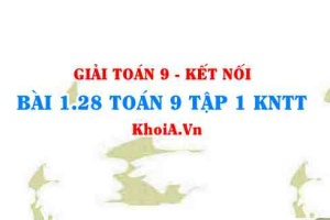Bài 1.28 SGK Toán 9 tập 1 Kết nối tri thức